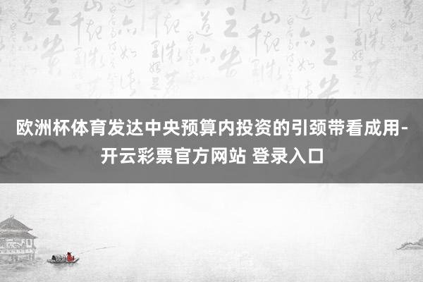 欧洲杯体育发达中央预算内投资的引颈带看成用-开云彩票官方网站 登录入口
