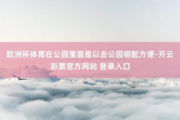 欧洲杯体育在公园里面是以去公园相配方便-开云彩票官方网站 登录入口